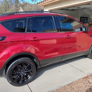 Meet your Posher, Willie